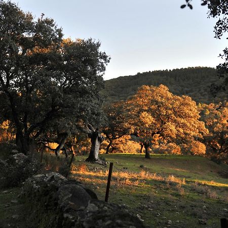 La Molinilla Apartamentos Y Hammam (Adults Only) Linares de la Sierra Dış mekan fotoğraf